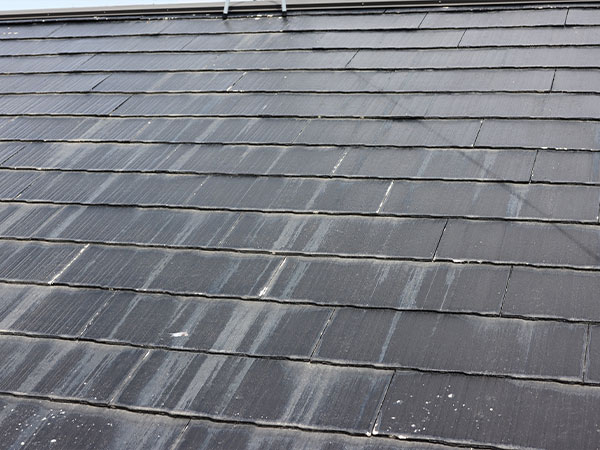 カラーベストの反り